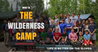 Exploring the Great Outdoors: What is a Wilderness Camp?