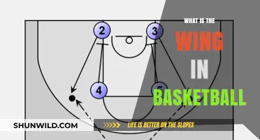Basketball Wing Position: Understanding the Basics
