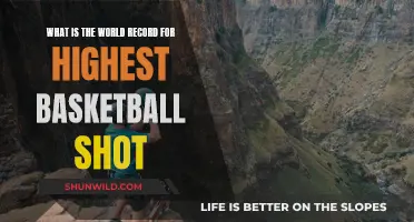 Sky-High Hoops: Unveiling the World's Tallest Basketball Shot