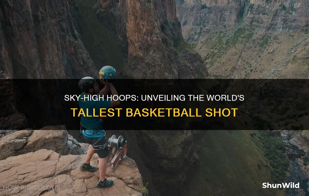 what is the world record for highest basketball shot