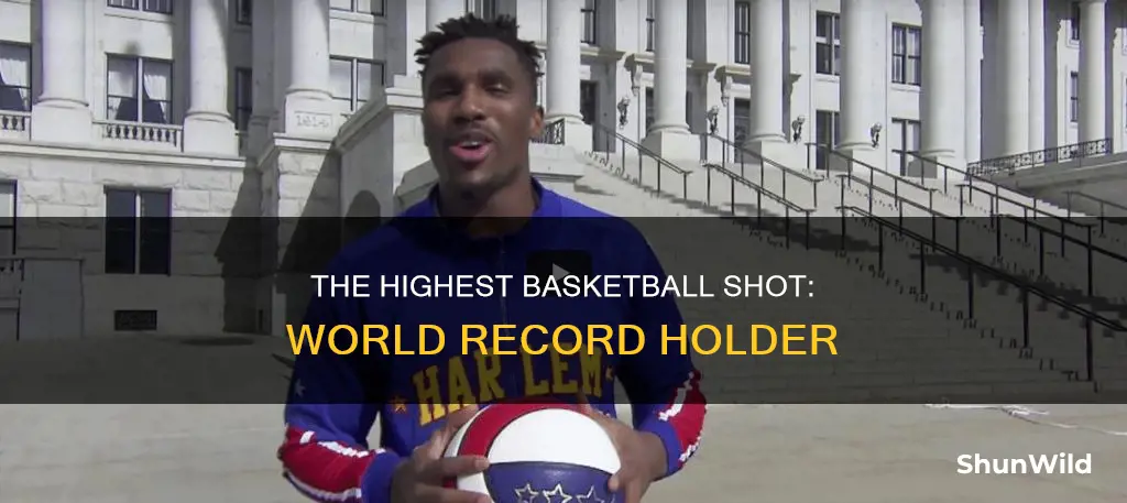 what is the world record for highest basketball shot