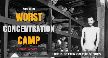 The Most Brutal Concentration Camp: A Historical Analysis of Evil