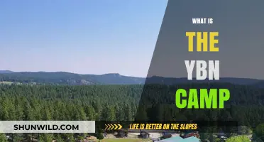 Exploring the YBN Camp: A Deep Dive into the Youthful Music Movement