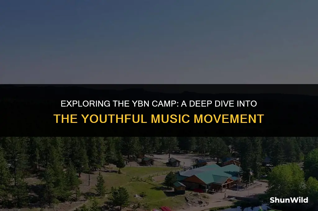 what is the ybn camp