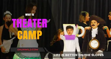 Unveiling the Magic: What Theater Camp Offers Young Aspiring Actors