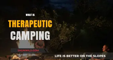 Exploring the Healing Power of Therapeutic Camping Retreats