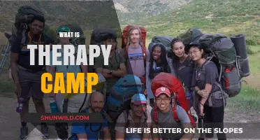 Exploring Healing Horizons: What Therapy Camps Offer