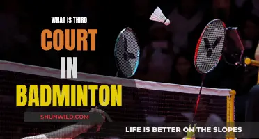 Understanding Badminton's Third Court