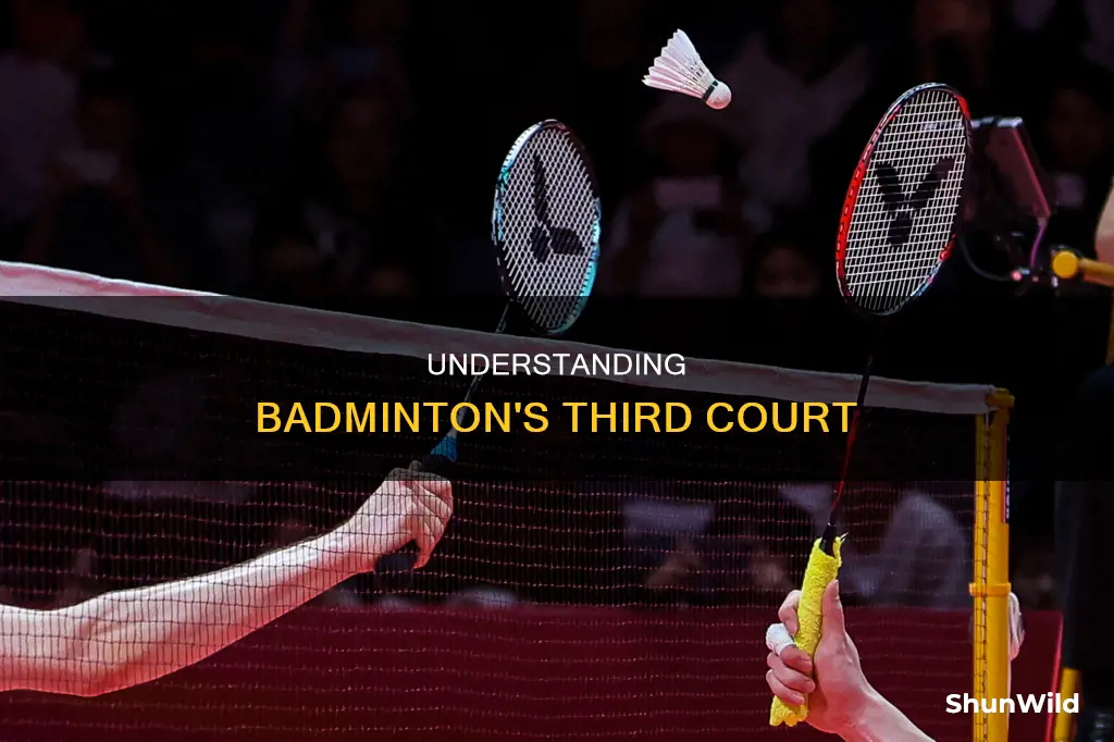 what is third court in badminton