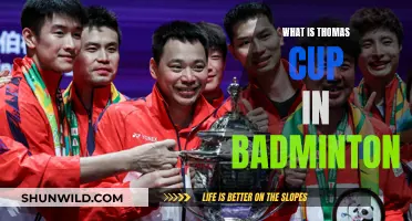 Thomas Cup: Badminton's Prestigious Men's Team Event