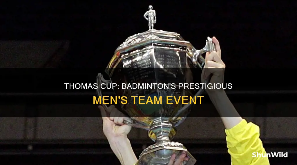 what is thomas cup in badminton