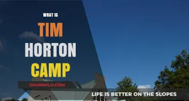 Exploring the Magic of Tim Horton Camp: A Journey of Discovery