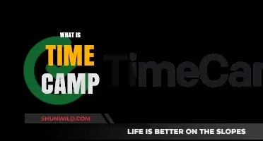 Exploring Time Camps: A Journey Through Temporal Retreats