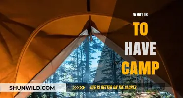 Exploring the Great Outdoors: A Beginner's Guide to Camping