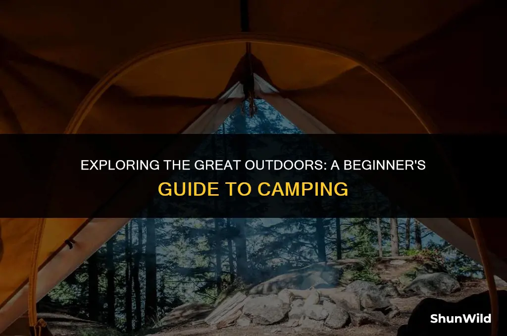 what is to have camp