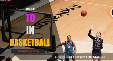 Understanding Basketball's 'To' Terminology