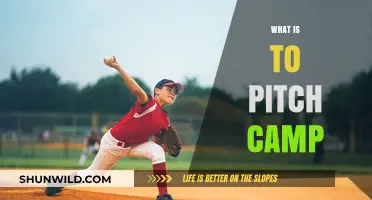 Exploring the Great Outdoors: A Beginner's Guide to Pitching Camp