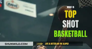 Unveiling the Art of Top Shot Basketball: A Comprehensive Guide