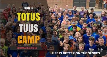 Exploring Faith and Fellowship at Totus Tuus Summer Camp
