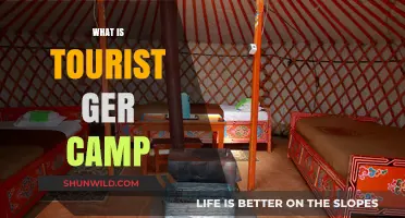 Exploring the Unique Experience of Tourist Ger Camps