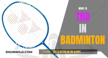 Understanding TRA in Badminton