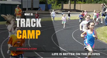Exploring the Exciting World of Track Camps: A Comprehensive Guide