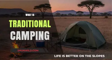 Embracing the Wilderness: A Guide to Traditional Camping Adventures