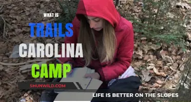 Exploring the Great Outdoors: A Guide to Trails Carolina Camp