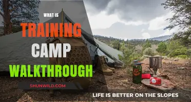 Exploring the Essentials of Training Camp: A Comprehensive Walkthrough