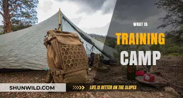 Exploring the Essentials: What to Expect at Training Camp