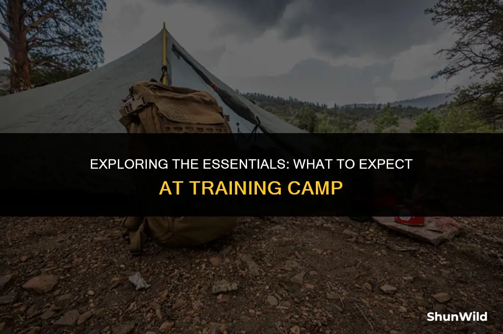 what is training camp