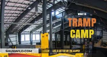 Exploring the Concept of Tramp Camps: A Comprehensive Guide