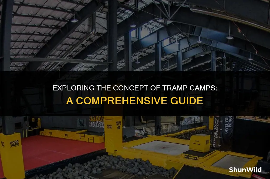 what is tramp camp