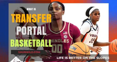Transfer Portal Basketball: Understanding the New Normal