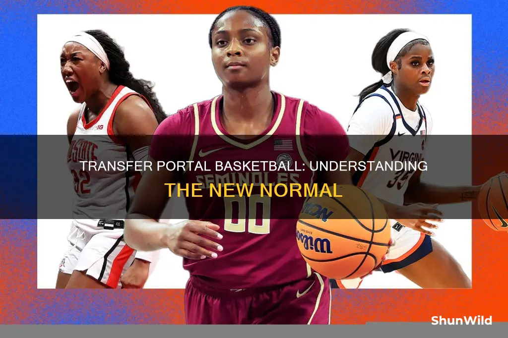 what is transfer portal basketball