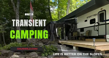 Exploring the Joys of Transient Camping: A Beginner's Guide