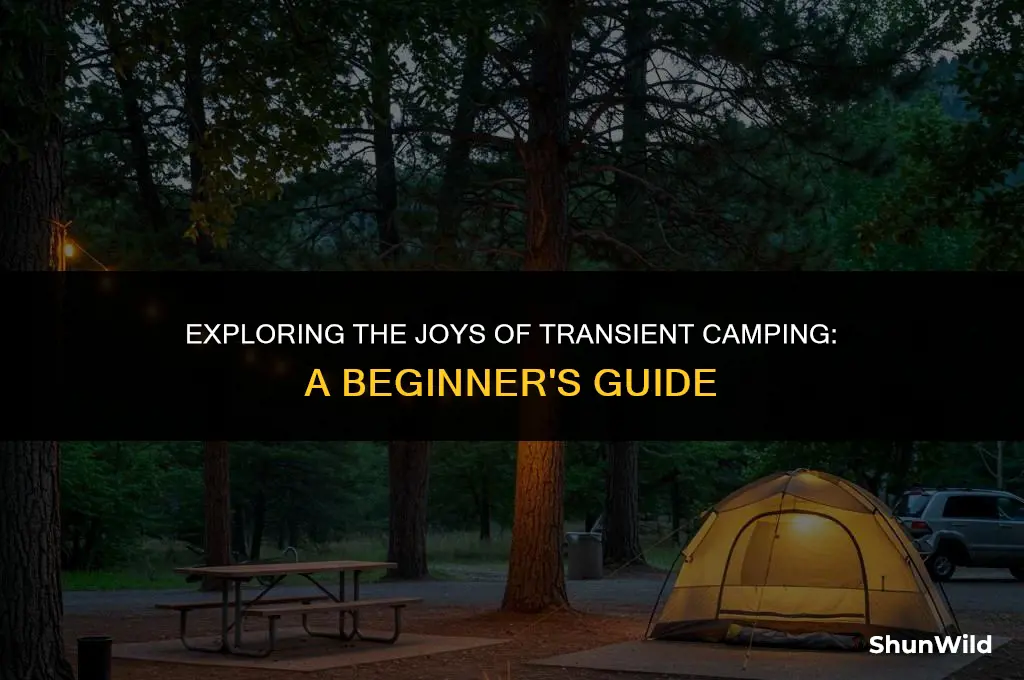 what is transient camping