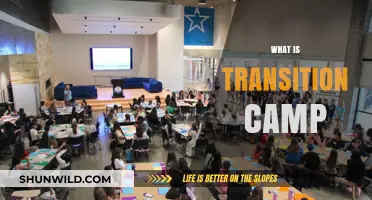 Exploring the Journey: What Transition Camps Offer