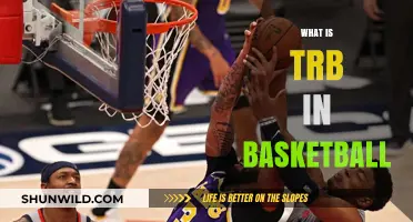 TRB in Basketball: What Does It Mean?