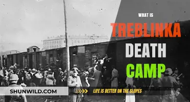 Unveiling the Horrors: Treblinka Death Camp's Dark History
