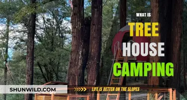 Exploring the Joys of Tree House Camping: A Unique Outdoor Adventure
