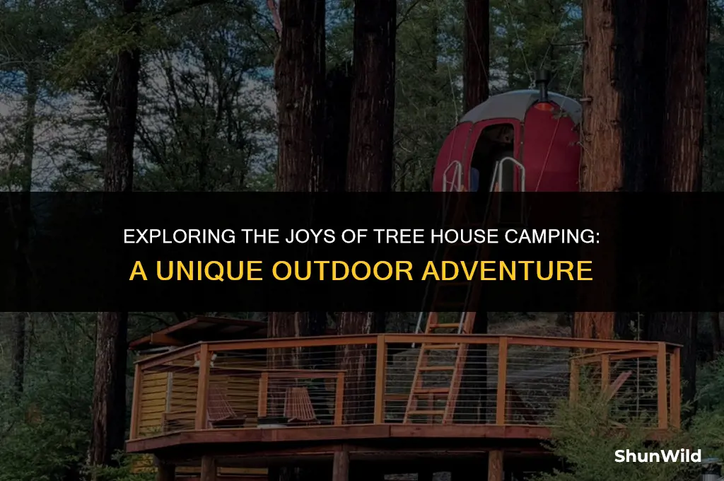 what is tree house camping