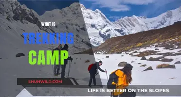 Exploring the Great Outdoors: A Beginner's Guide to Trekking Camps