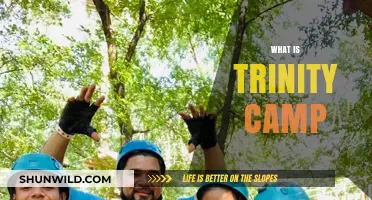 Exploring the Essence of Trinity Camp: A Comprehensive Guide