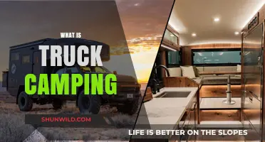 Exploring the Great Outdoors: A Beginner's Guide to Truck Camping