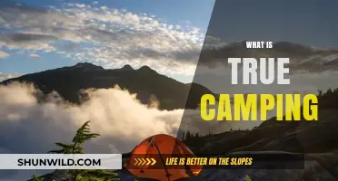 Embracing the Wild: What True Camping Means to Me