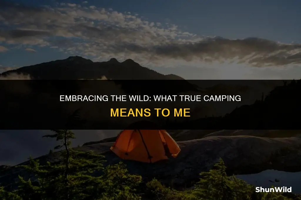 what is true camping