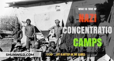 Nazi Concentration Camps: Uncovering the Brutal Truth and Historical Reality
