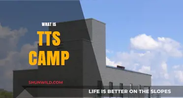 Exploring the Innovative World of TTS Camps: A Comprehensive Guide