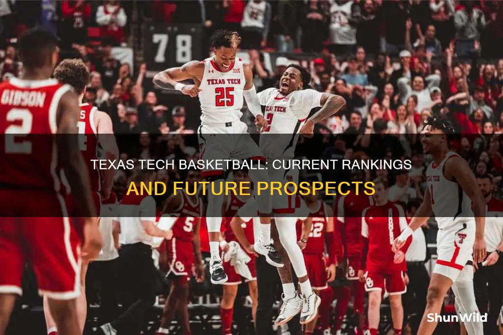 what is ttu basketball ranked